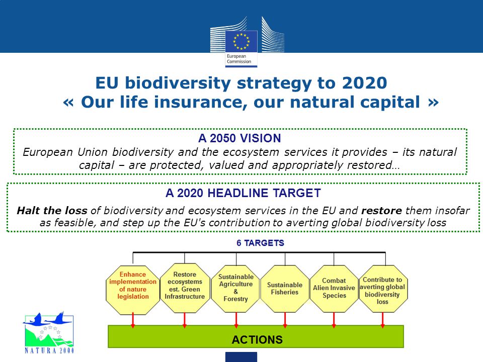 eu biodiversity strategy